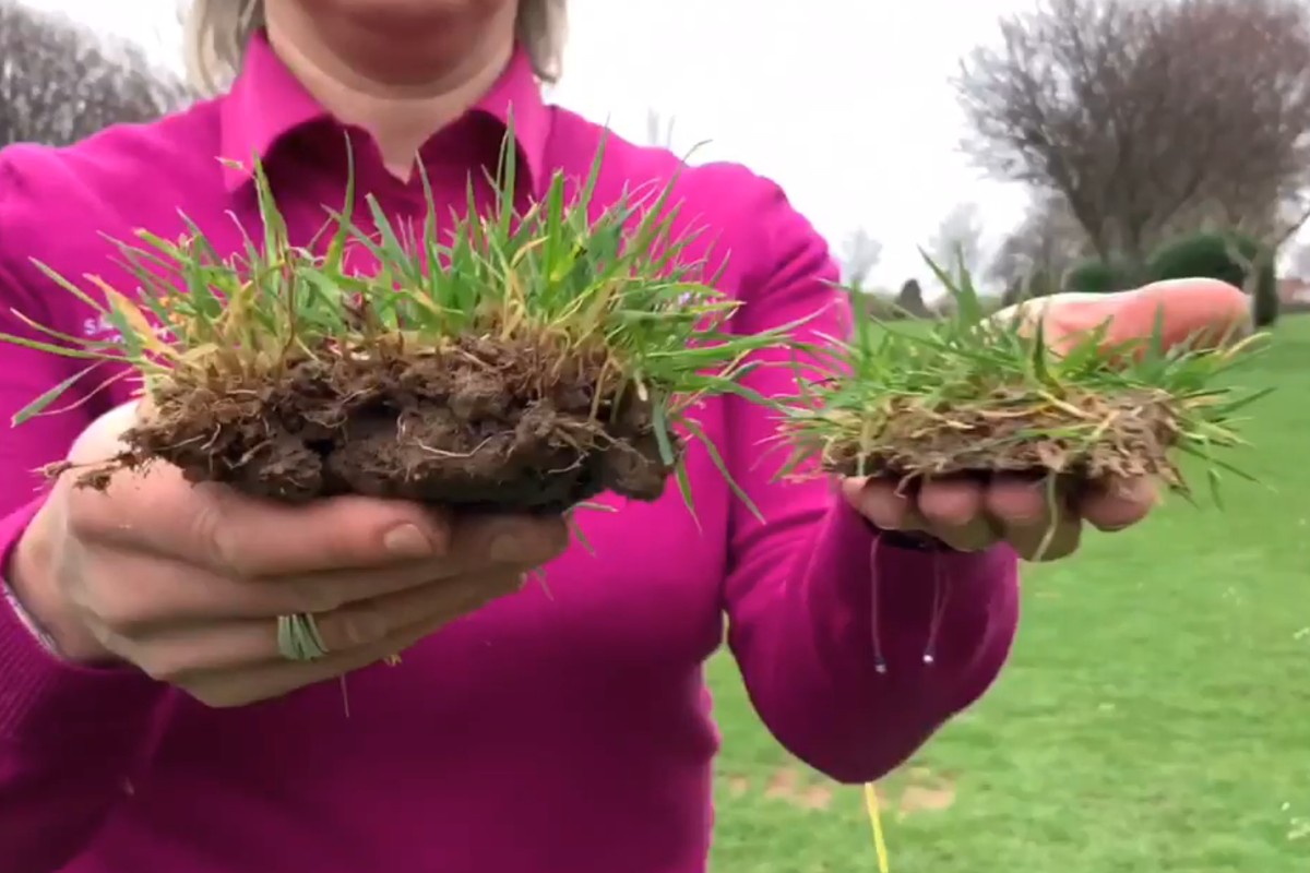 What Your Divots Can Tell You - Natalie Adams