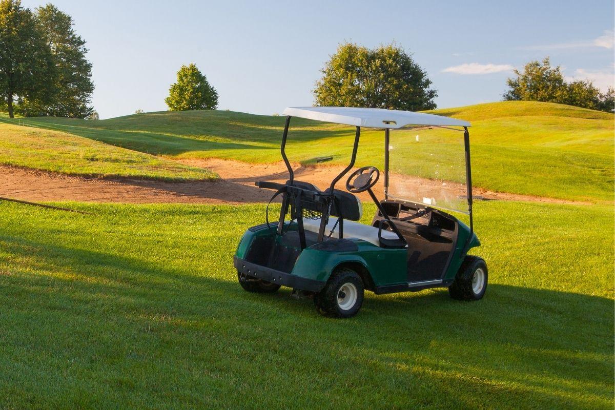 Why I am Pro Golf Carts - Dr Kelly Price